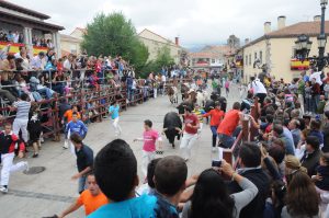 Encierro y suelta de reses @ Recorrido del Encierro